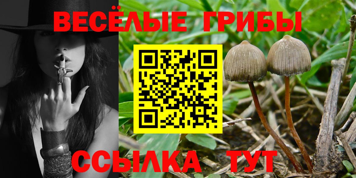 Галлюциногенные грибы Psilocybine cubensis  Галлюциногенные грибы Cubensis  Вход с VPN  Ливны 