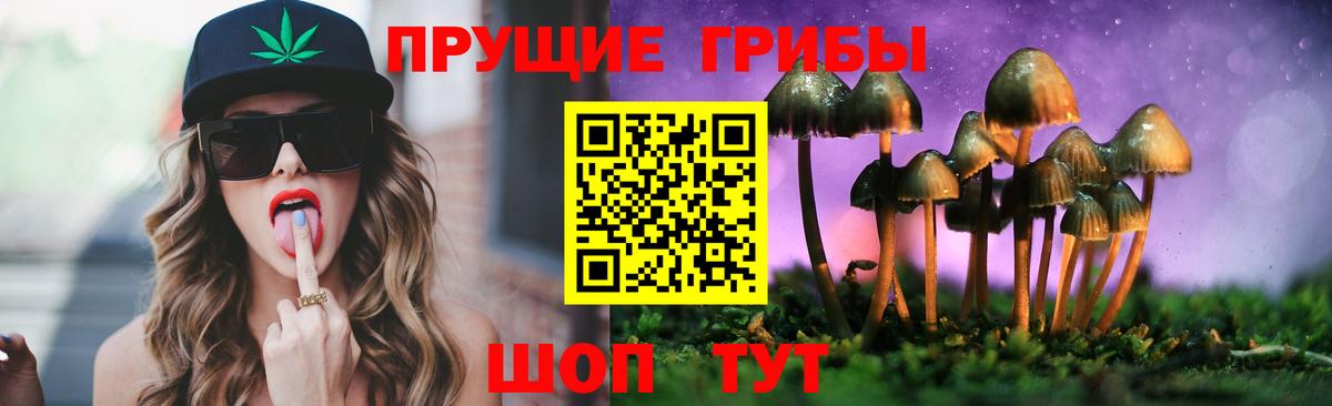 Галлюциногенные грибы Psilocybine cubensis Ливны